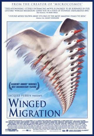 Poster Winged Migration