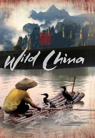 Poster Wild China