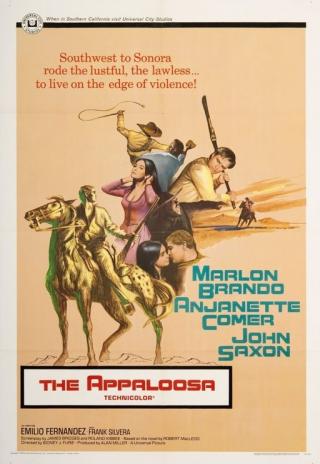 Poster The Appaloosa