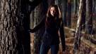 Cadru din The Vampire Diaries episodul 17 sezonul 1 - Let the Right One In
