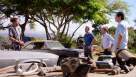 Cadru din Hawaii Five-0 episodul 10 sezonul 7 - Ka Luhi (The Burden)