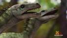 Cadru din Jurassic Fight Club episodul 11 sezonul 1 - Raptor vs T-Rex