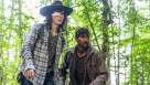 Cadru din The Walking Dead episodul 6 sezonul 8 - The King, the Widow, and Rick