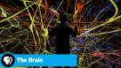 Cadru din The Brain with Dr. David Eagleman episodul 1 sezonul 1 - What is Reality?