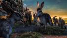 Cadru din Watership Down episodul 1 sezonul 1 - The Journey and the Raid