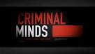Cadru din Criminal Minds episodul 18 sezonul 3 - The Crossing