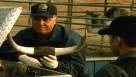 Cadru din CSI: Crime Scene Investigation episodul 8 sezonul 3 - Snuff
