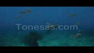 Trailer Sea Monsters: A Prehistoric Adventure