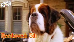 Trailer Beethoven's 5th