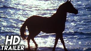 Trailer The Black Stallion