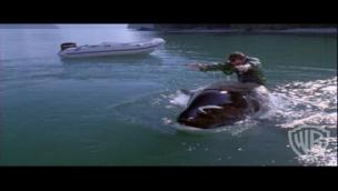 Trailer Free Willy 3: The Rescue