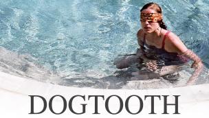 Trailer Dogtooth