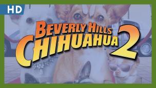 Trailer Beverly Hills Chihuahua 2