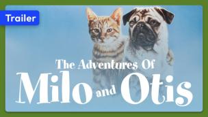 Trailer The Adventures of Milo and Otis