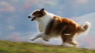 Trailer Lassie