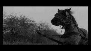 Trailer The Turin Horse