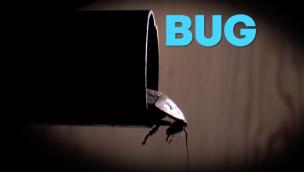 Trailer Bug