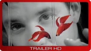 Trailer Rumble Fish