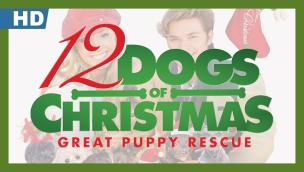 Trailer 12 Dogs of Christmas: Great Puppy Rescue