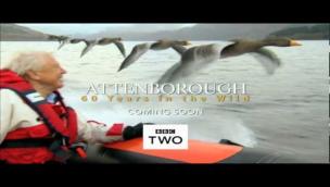 Trailer Attenborough: 60 Years in the Wild