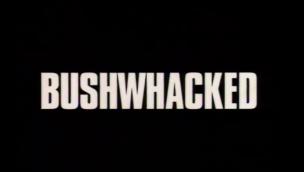Trailer Bushwhacked