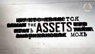 Trailer The Assets