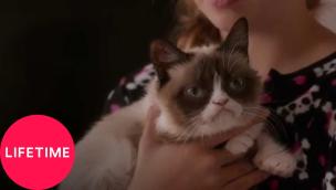 Trailer Grumpy Cat's Worst Christmas Ever
