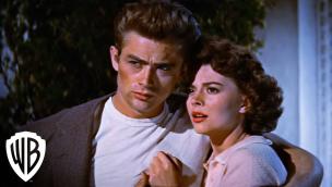 Trailer Rebel Without a Cause
