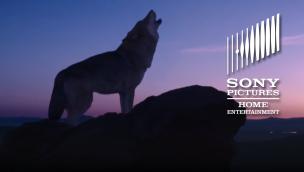 Trailer Wolf Totem