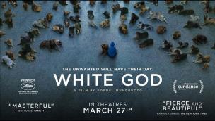Trailer White God