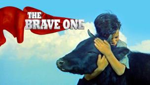 Trailer The Brave One
