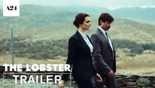 Trailer The Lobster