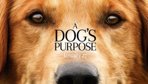 Trailer A Dog's Purpose