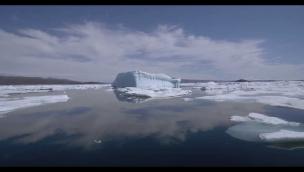 Trailer Wonders of the Arctic 3D
