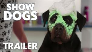 Trailer Show Dogs