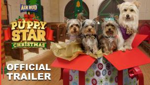 Trailer Puppy Star Christmas