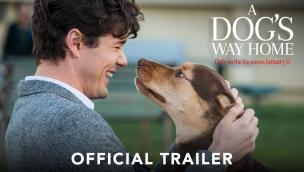 Trailer A Dog's Way Home