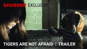 Trailer Tigers Are Not Afraid