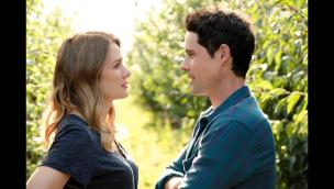 Trailer Love Under the Olive Tree