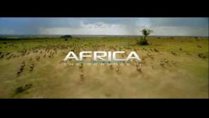 Trailer Africa: The Serengeti