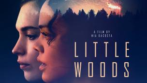 Trailer Little Woods