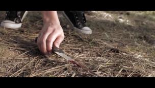 Trailer New World Order: The End Has Come