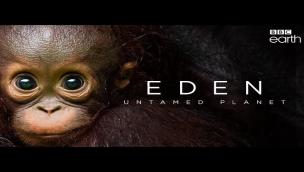 Trailer Eden: Untamed Planet