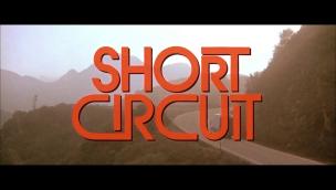 Trailer Short Circuit