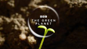 Trailer The Green Planet