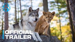 Trailer The Wolf and the Lion