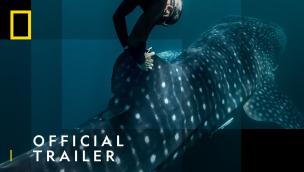 Trailer Perpetual Planet: Heroes of the Oceans