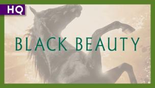 Trailer Black Beauty
