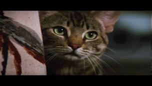 Trailer Cat's Eye