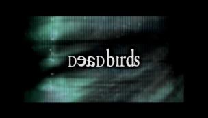 Trailer Dead Birds